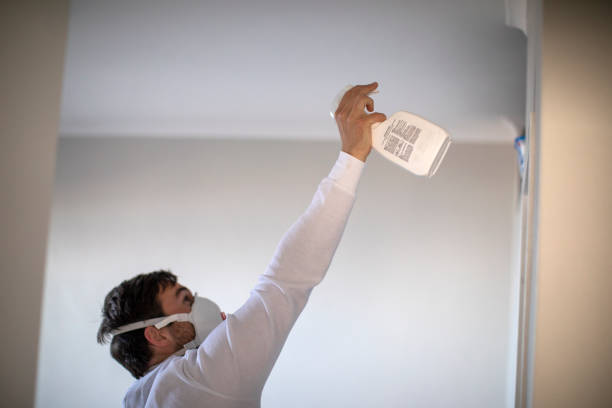 Best Professional Mold Removal  in Falmouth, VA