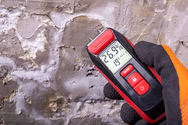 Best Home Mold Removal  in Falmouth, VA