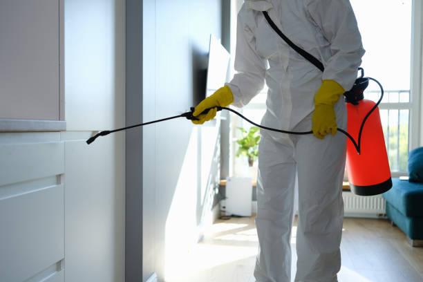 Crawl Space Mold Removal in Falmouth, VA