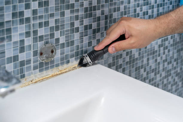 Best Emergency Mold Removal  in Falmouth, VA