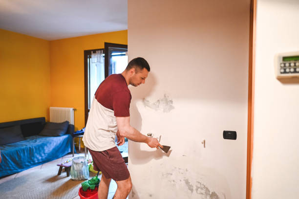 Best Commercial Mold Removal  in Falmouth, VA
