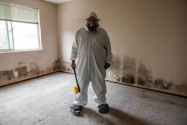 Best Mold Testing  in Falmouth, VA